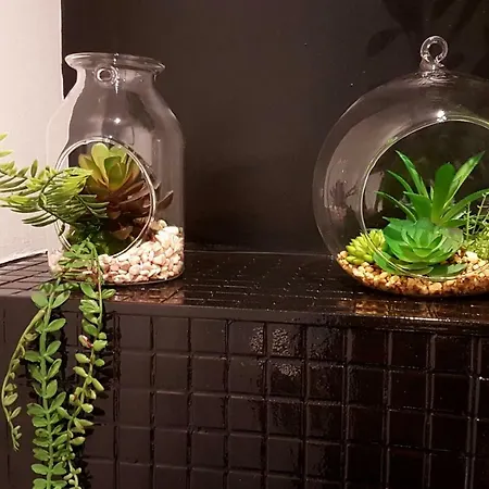 Naeva Feng Shui ستراسبورغ