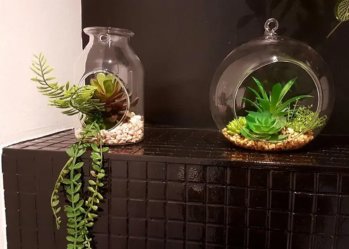 Naeva Feng Shui Strasbourg