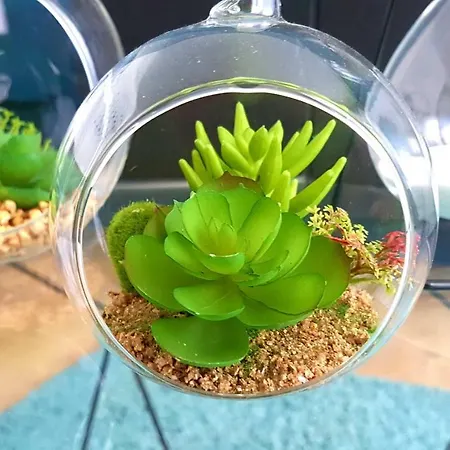 아파트 Naeva Feng Shui *